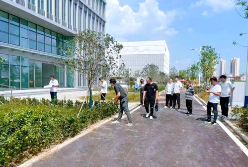 蔡甸推動高質量發展 為市民辦實事