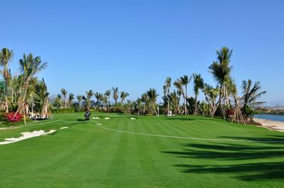 山東順和園林綠化工程簽約建文軟件，攜手推動園林工程信息化進程